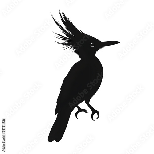 Hoopoe black silhouette isolated on a transparent background