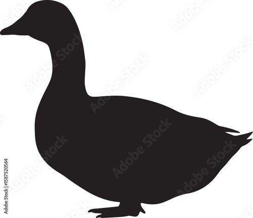 Black duck silhouette, a simple and elegant representation of waterfowl, perfect for nature, farm, and animal-themed designs, or as a minimalist graphic element