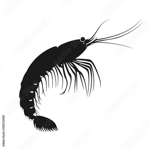 Krill black silhouette isolated on a transparent background