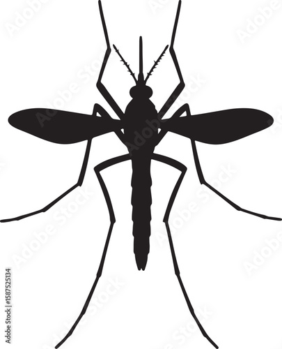 Black vector silhouette of a mosquito, perfect for illustrating insect control, disease prevention, pest issues, and biological topics for educational and health-related content