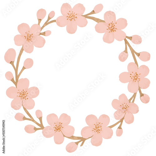 watercolor illustration of cherry blossoms
