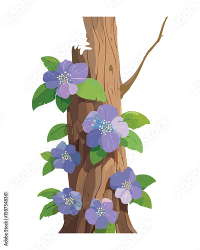 Vining Plant on Tree Stump