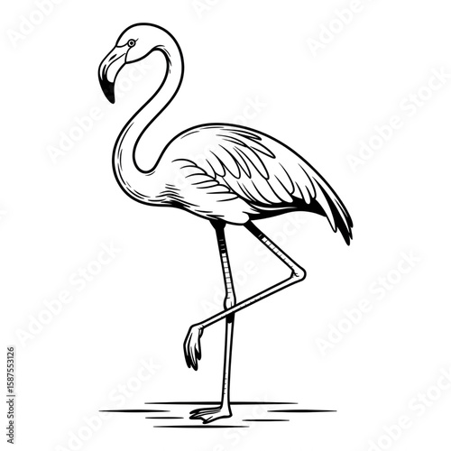 A black and white flamingo illustration line art of a coloring and 