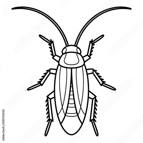 A black and white cockroach illustration line art of a coloring and