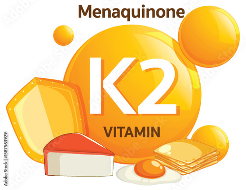 Vitamin K2 Menaquinone Sources Flat Vector Illustration