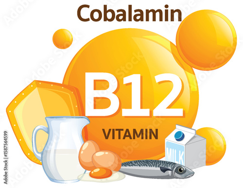 Vitamin B12 Cobalamin Sources Flat Vector Illustration