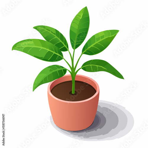 Technical line drawing of a potted indoor plant with leaf shape and pot base fully outlined.