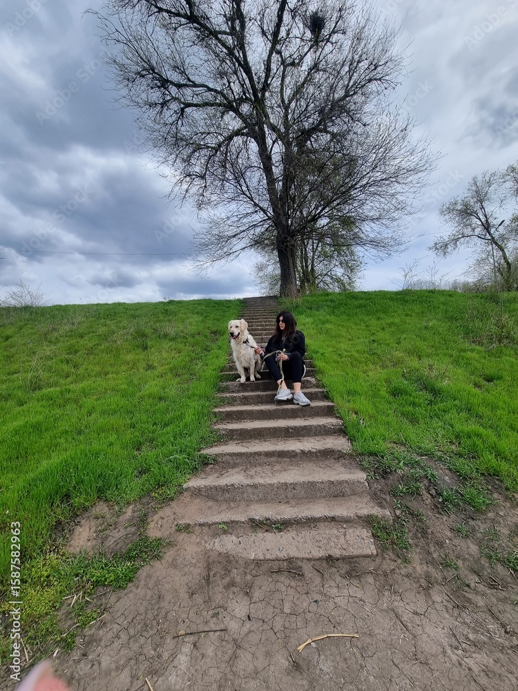 Fototapeta premium walk in the park