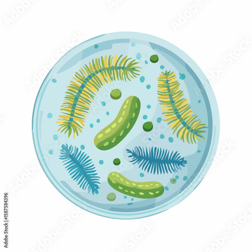 Flat vector illustration of bacteria growing on a petri dish, viewed from top-down, laboratory and microbiology theme