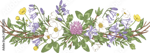 Nature-themed horizontal divider with wildflowers and branches, balanced and stylized, Adobe Illustrator
