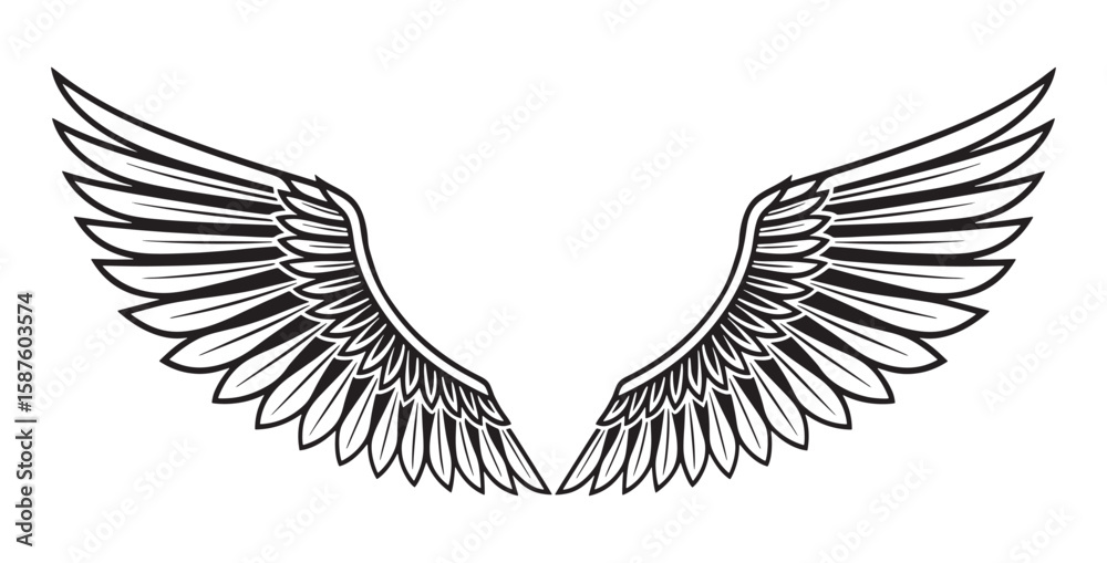 Obraz premium Black and White Detailed Pair of Wings Illustration