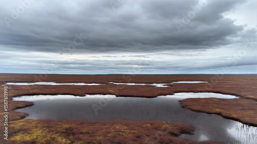 Overcast Tundra Pools Mirroring Moody Cloudscape