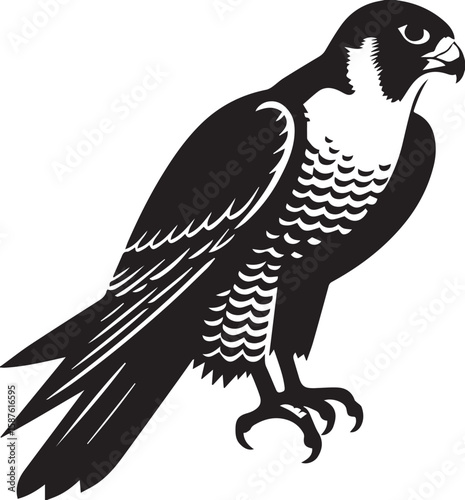 Majestic Falcon Bird Illustration