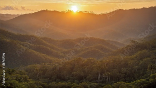 Golden Sunrise over Misty Rainforest Hills