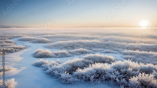 Frost-Covered Marshland at Sunrise