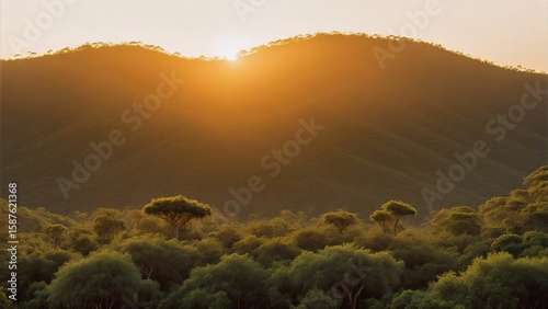 Golden Sunrise Peeking Above Hilltop Woodland in Soft Light