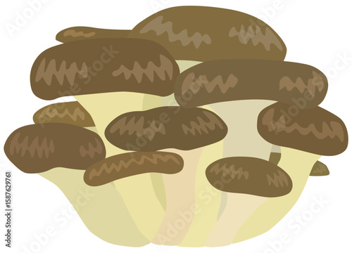 ヒラタケのイラスト ベクター素材
