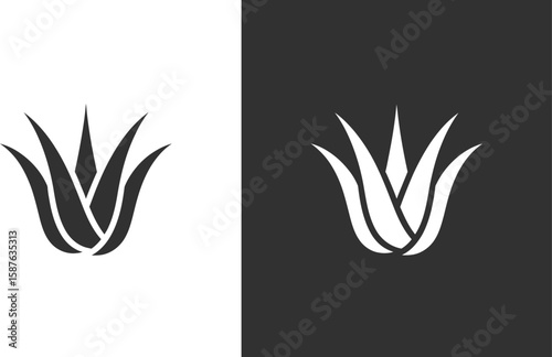 Agave plant illustration showcases botanical simplicity in black and white design elements.