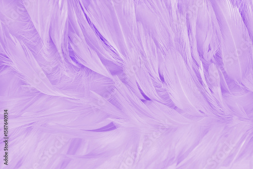 Purple pastel color bird feather pattern texture for background and design.