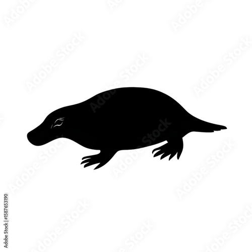 Platypus (Egg-laying Mammal) black silhouette isolated on a transparent background