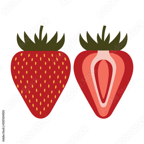 Vector illustration of whole and sliced strawberry fruit, fresh and ripe berry vector design.