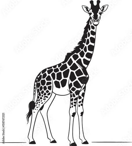 Minimalist line art illustration of a giraffe animal wildlife