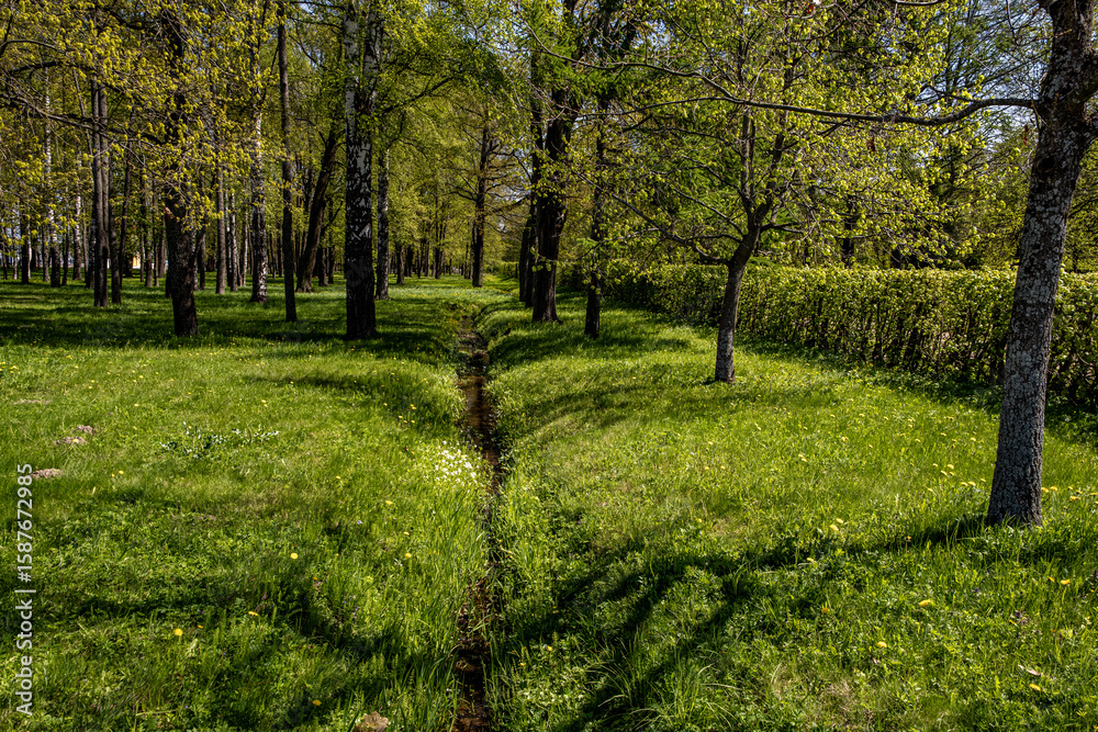 Fototapeta premium Drainage ditch for a stream in a park in the grass on a summer day.