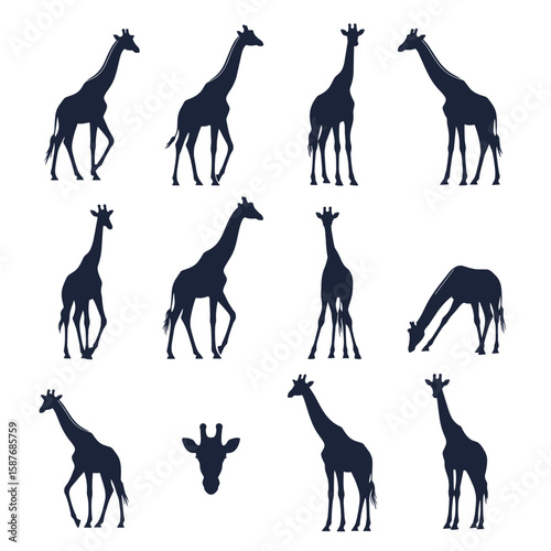 Collection of diverse giraffe silhouettes showcasing various poses and movements in naturalistic settings