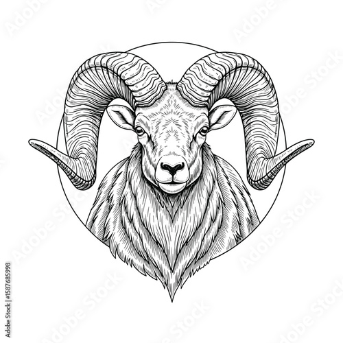 Majestic bighorn sheep head with impressive curled horns encased in a circular outline