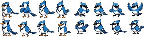 Cartoon blue jay bird poses, standing, preening, flapping wings vector illustration