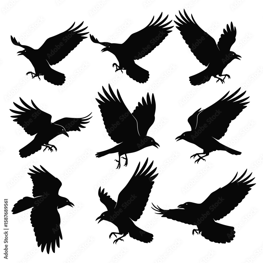 Collection of silhouettes depicting various flying bird poses with extended wings and open beaks in black Collection of silhouettes depicting various flying bird poses with extended wings and open beaks in black
