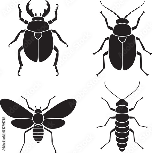 Black insect silhouettes beetle