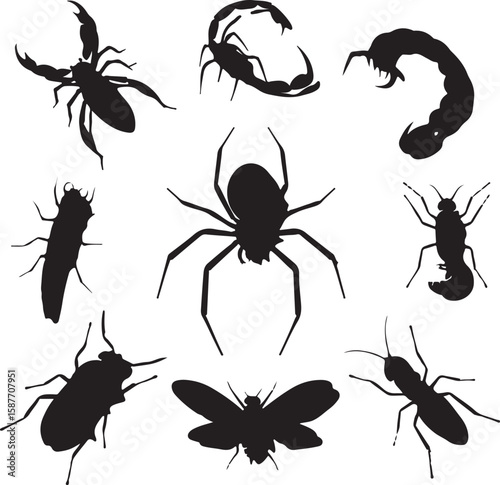 Black insect silhouettes collection scorpion spider