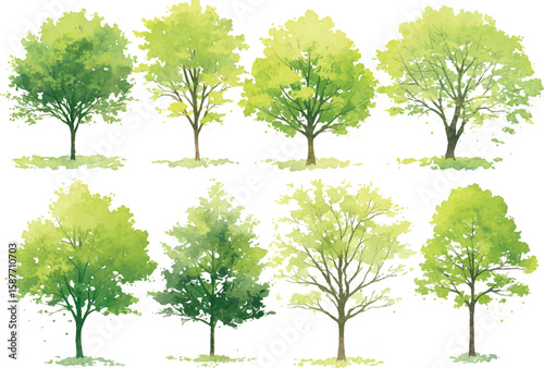 Set of four green trees representing growth and nature in different summer and spring scenes