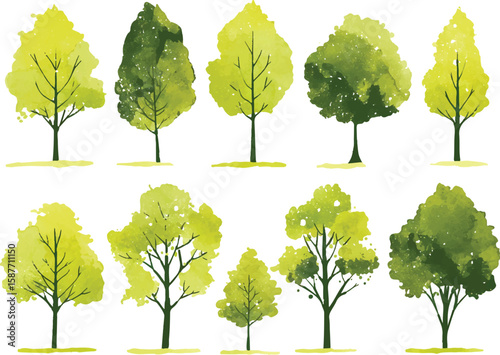 Green collection of trees with leaves and branches isolated on white background