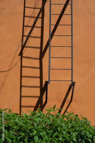 the fire escape