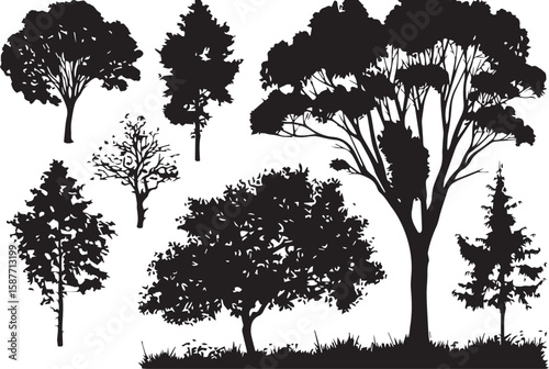 Set of tree silhouettes with oak pine and palm shapes in black vector art style