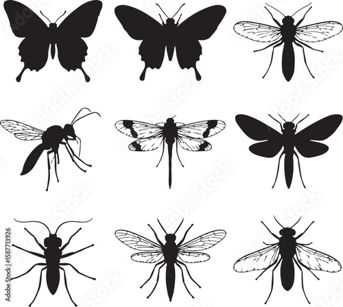 Black silhouettes of various winged insects butterfly