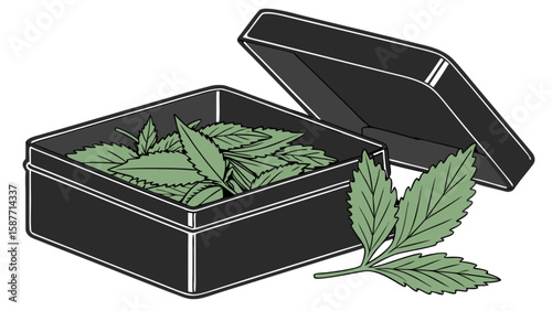 Black box with green leaves herbal remedy natural medicine alternative therapy wellness health and wellbeing concept