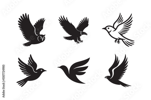 Collection of six stylized black bird silhouettes in flight on white background