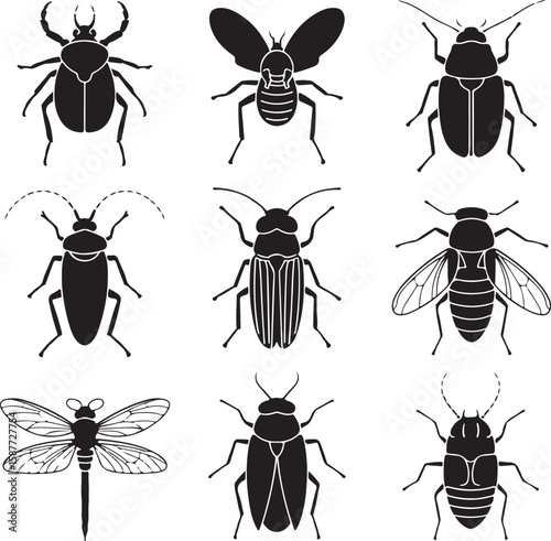 Diverse insect silhouettes beetle dragonfly