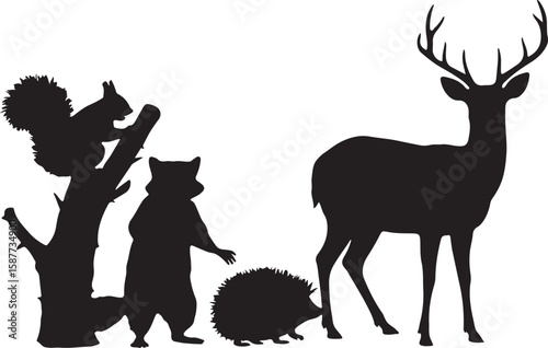 Forest animals silhouette deer raccoon