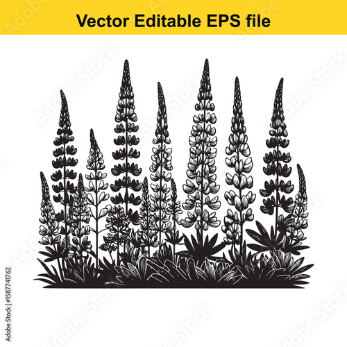 Plant roots and earthworms in fertile soil illustration