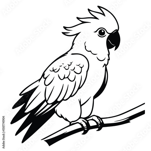 White cockatoo perched on a branch in a stylized graphic design. A detailed line drawing of a cockatoo, showcasing its feathery plumage and perched posture on a branch.
