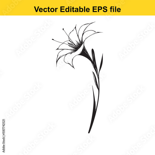 Plant roots and earthworms in fertile soil