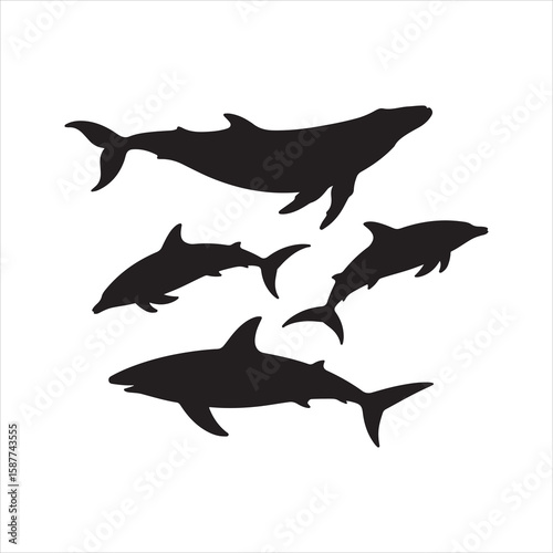 Silhouettes of a whale and dolphins swimming together in the ocean