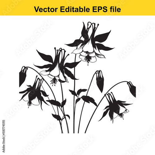 A black and white sketch of a cluster of columbine flowers