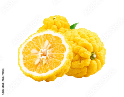 Fresh ripe Yuzu citrus fruits with bumpy yellow skin one cut in half showing seeds.