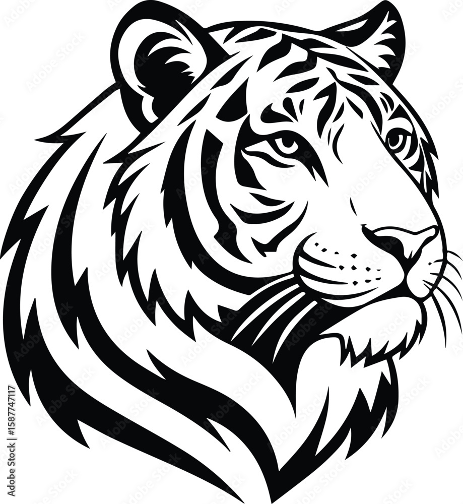 Fototapeta premium Web