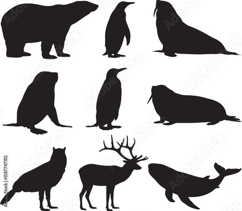 Polar bear penguin seal walrus wolf deer whale silhouettes